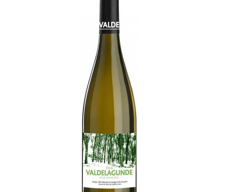 Valdelagunde Cuveé Especial Verdejo