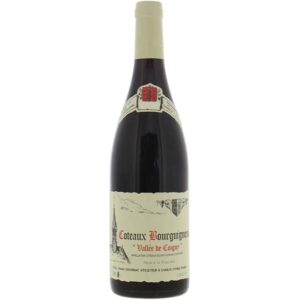 Dauvissat Coteaux Bourguigons 2023
