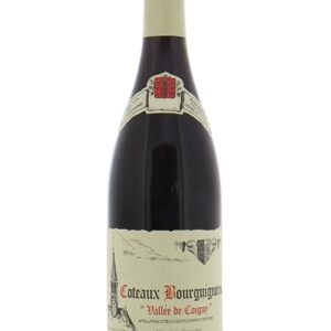 Dauvissat Coteaux Bourguigons 2023